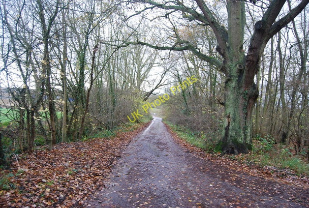 Photo 6"x4" Crismill Lane looking south Bearsted c2009