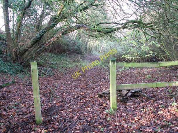 Photo 6"x4" End of the path along the old railway cutting Wreningham c2009
