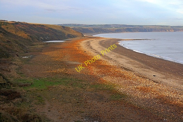 Photo 6"x4" Blackhall Rocks Nature Reserve Blackhall Colliery c2009