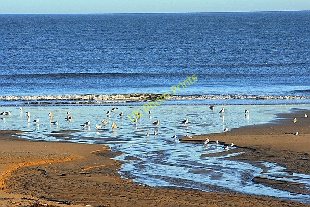 Photo 6"x4" Stream Mouth, North Sands Hart Station c2009