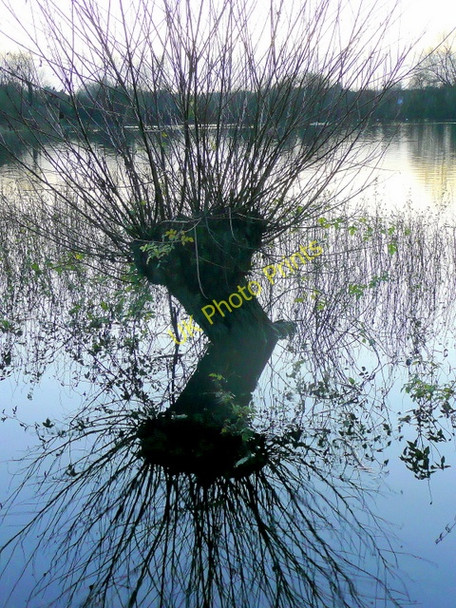Photo 6"x4" Flooded North Meadow 2 Cricklade c2009
