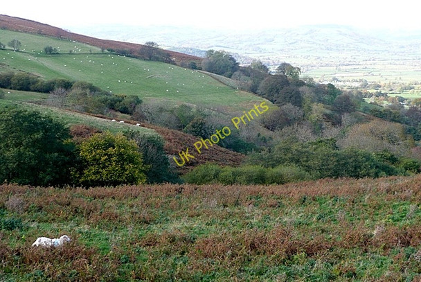 Photo 6"x4" Towards Little London Little London\/SO0489 c2009