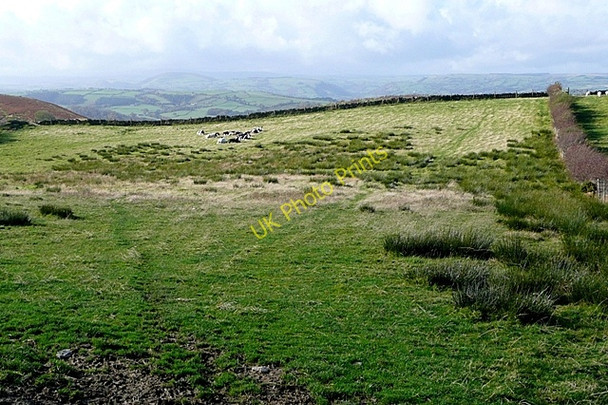 Photo 6"x4" Near Penrhiw Little London\/SO0489 c2009