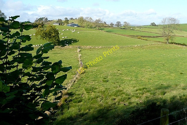 Photo 6"x4" Towards The Forest Little London\/SO0489 c2009