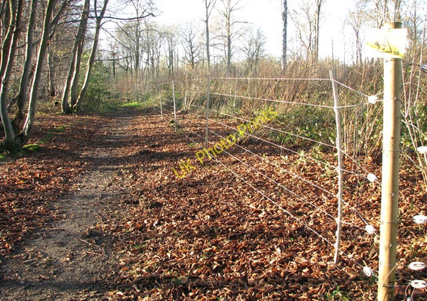 Photo 6"x4" Lower Wood Nature Reserve - electric deer fence Ashwellthorpe c2009