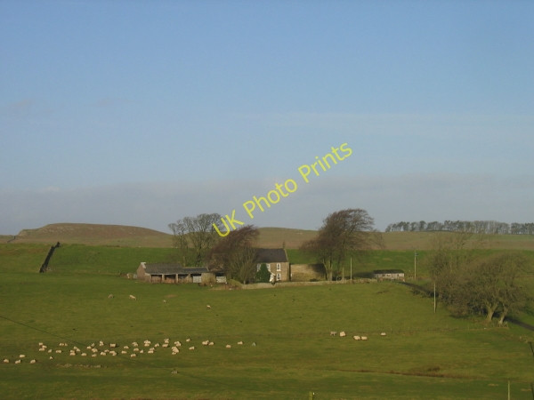 Photo 6"x4" West Crindledykes Farm Thorngrafton c2009