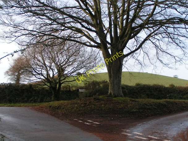 Photo 6"x4" Lane junction near Collaton Raleigh Burrow\/SY0789 c2009
