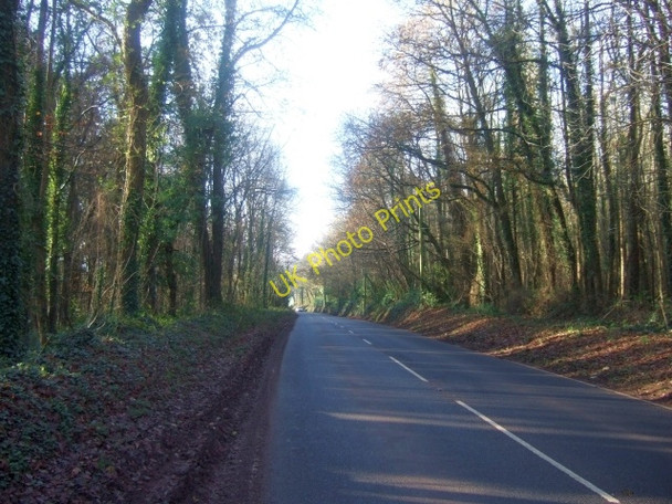 Photo 6"x4" A3072 passing through woods near Shobrooke Crediton c2009 P1