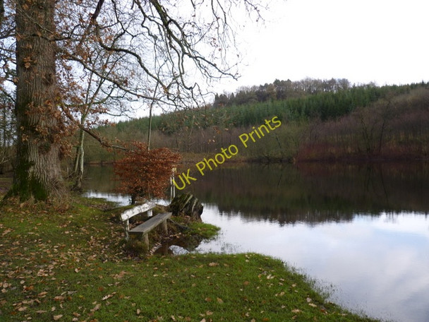 Photo 6"x4" The Dromore river \u00e2\u0080\u0093 waterway and estate boundary Cootehill c2009
