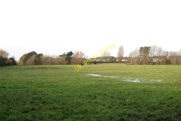 Photo 6"x4" Grassland south of the Blind Yeo Clevedon c2009