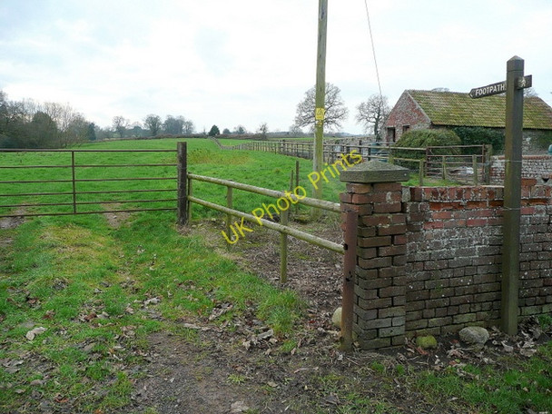 Photo 6"x4" Footpath south Wern-y-cwrt c2009