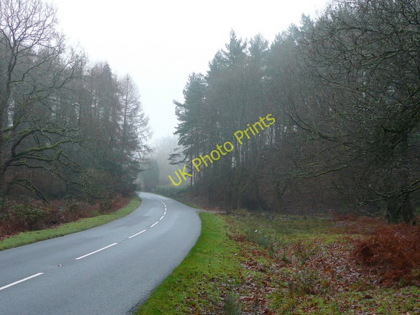 Photo 6"x4" Road through the Forest of Dean Parkend\/SO6108 c2009