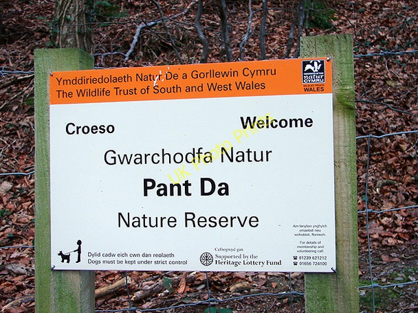 Photo 6"x4" Pant Da Nature Reserve Nantyronen Station c2009