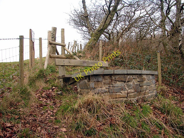 Photo 6"x4" Pant Da Nature Reserve Nantyronen Station c2009 P1