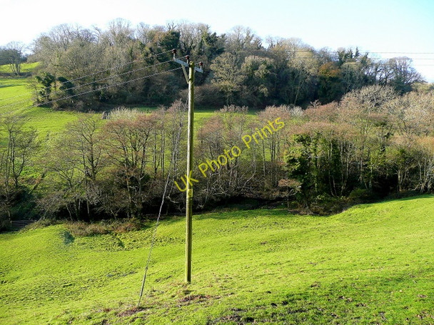 Photo 6"x4" Alder Grove and Lower Watercombe Coppice Vicarage c2009