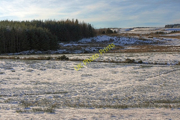 Photo 6"x4" Rough Grazing and Edge of Plantation, Kirby Hill Kirby Hill\/NZ1306 c2009