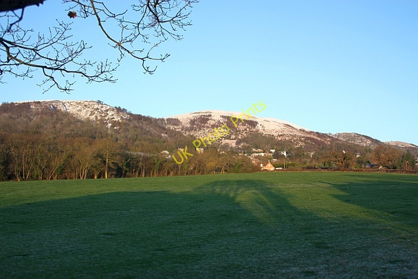 Photo 6"x4" Mayalls Coppice in December Upper Welland c2009
