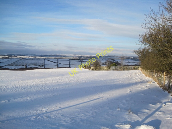 Photo 6"x4" View from Moss Plantation Hedley on the Hill c2009