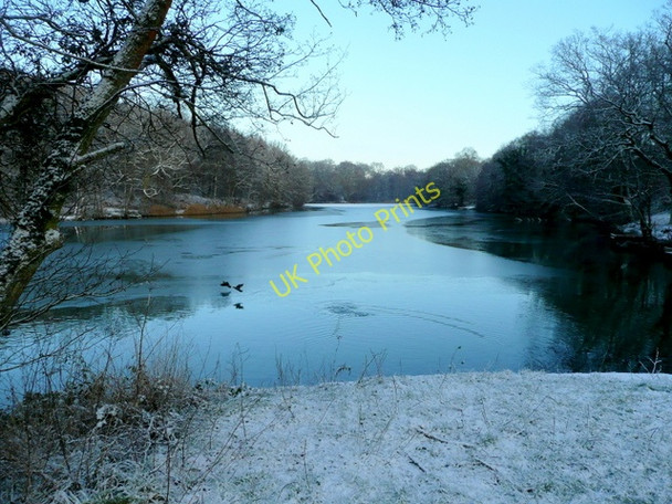 Photo 6"x4" Lower Cannop Pond; midwinter Cannop c2009