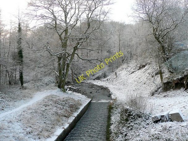 Photo 6"x4" Cannop Pond outflow Ellwood c2009