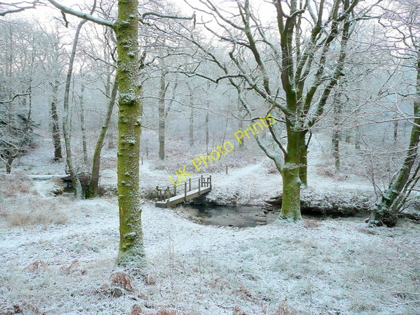 Photo 6"x4" Footbridge over the Cannop Brook - winter Cannop c2009