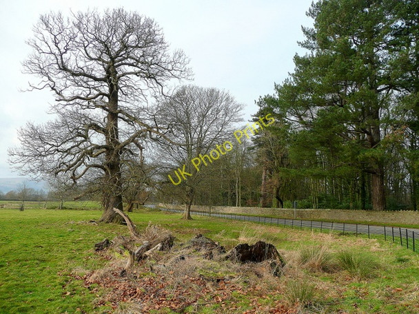 Photo 6"x4" By Clytha Park Aberffrwd\/SO3509 c2009
