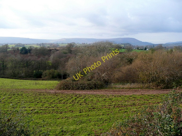 Photo 6"x4" The Lower Usk valley Bettws Newydd c2009