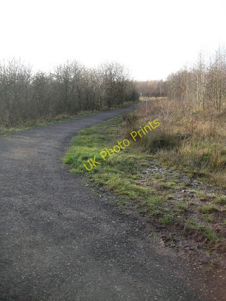 Photo 6"x4" Lofthouse Colliery Nature Park Tour (8) Carr Gate c2009