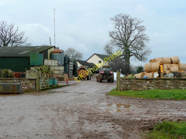 Photo 6"x4" Farm to the west of Bettws Newydd Bettws Newydd c2009