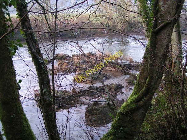 Photo 6"x4" River Exe next to Back Woods on the Exe Valley Way Collipriest c2009