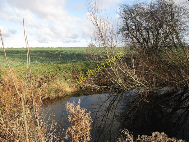 Photo 6"x4" Small pond Brinkley\/TL6254 c2009