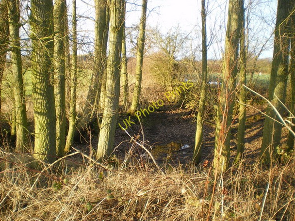 Photo 6"x4" A former pond SW of Sheriffhales Crackleybank c2009