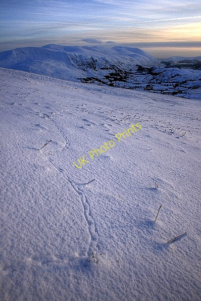 Photo 6"x4" On Blease Fell Threlkeld c2009