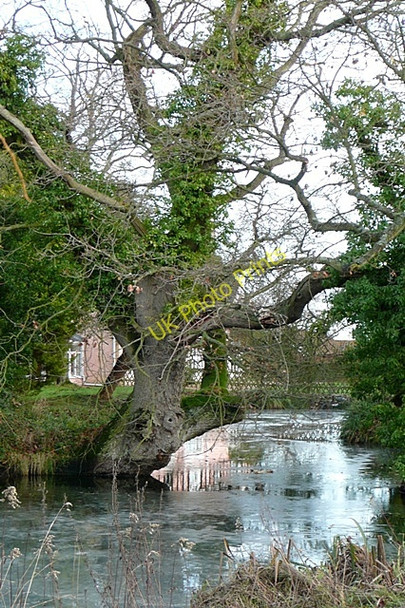 Photo 6"x4" Pond at Wissett Lodge Chediston Green c2009