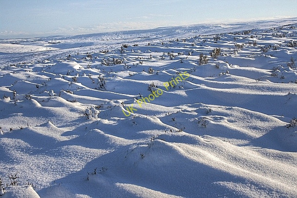 Photo 6"x4" Warren Moor Battersby c2010
