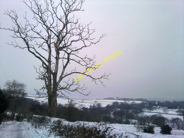 Photo 6"x4" Dead tree by Park Lane Hebden Bridge c2009