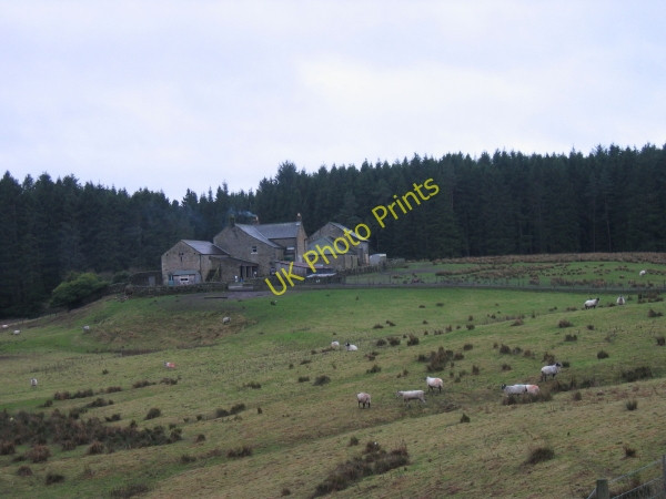 Photo 6"x4" Pundershaw Farm Fletchlaw Burn c2009