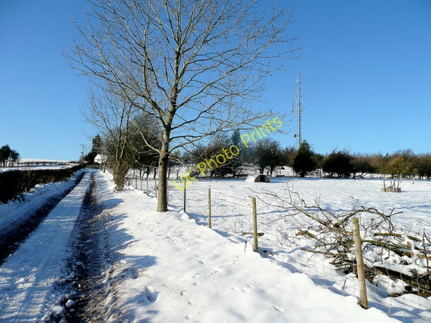 Photo 6"x4" Ascending Garway Hill Garway Hill c2010