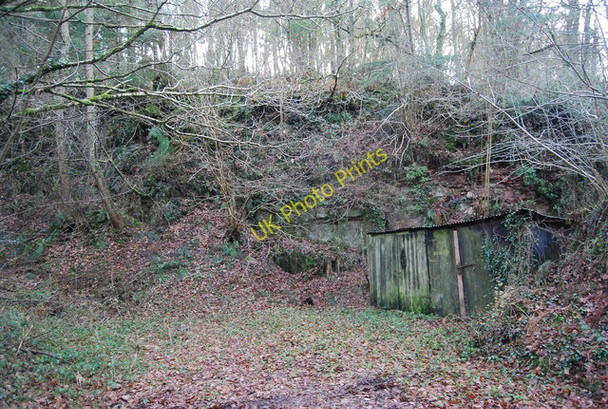 Photo 6"x4" Disused quarry & hut by the road into Luxborough Kingsbridge\/SS9837 c2009