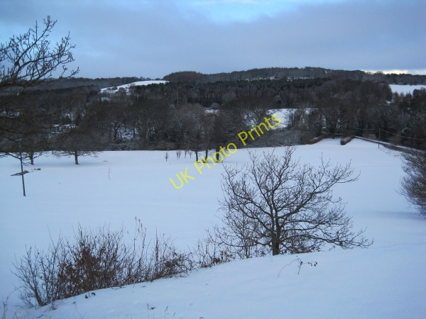 Photo 6"x4" Beamish Park Golf Club, 18th Fairway. Stanley\/NZ1952 c2010