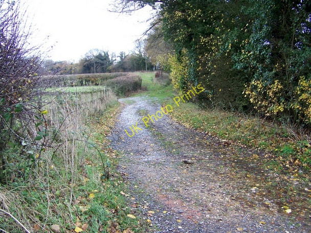 Photo 6"x4" Bridleway, Lambourn Woodlands Lambourn Woodlands c2009