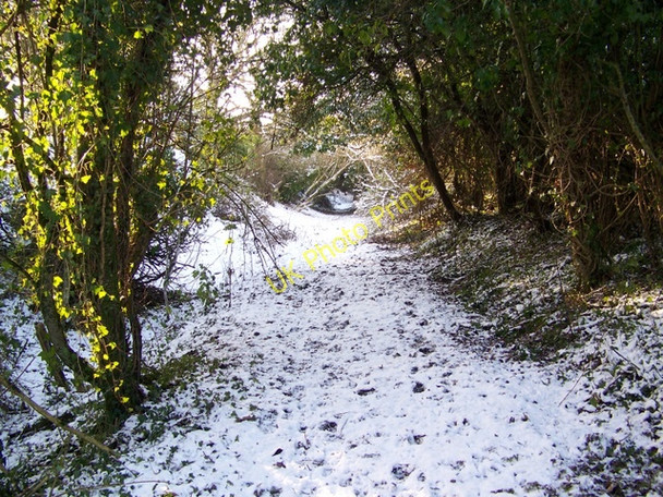 Photo 6"x4" Bishopstone Hollow Croucheston c2010