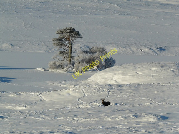Photo 6"x4" Loch Awe Loch Awe\/NC2415 c2010