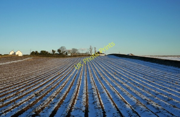 Photo 6"x4" Frozen field  near Scrabo Newtownards c2010