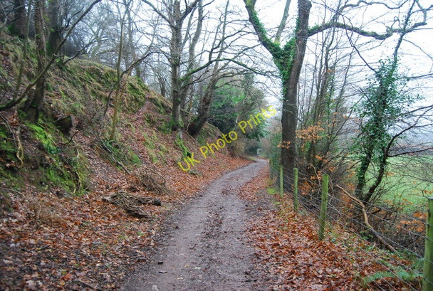 Photo 6"x4" Footpath up Bicknoller Hill Bicknoller c2009