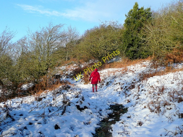 Photo 6"x4" Ascending Alt Common Archenfield c2010