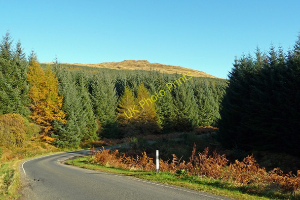 Photo 6"x4" View over forestry towards Stob an Eas Cairndow c2009