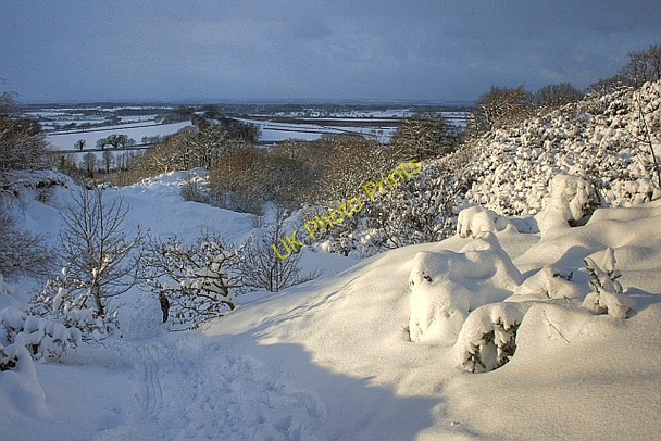 Photo 6"x4" Cliff Ridge Quarry Great Ayton c2010 P1
