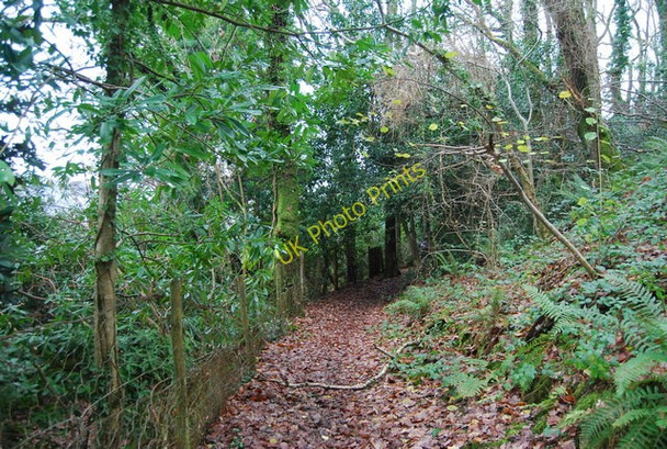 Photo 6"x4" Footpath to Porlock Porlock Weir c2009
