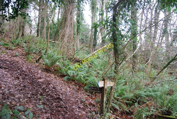 Photo 6"x4" Footpath junction in the woods Doverhay c2009